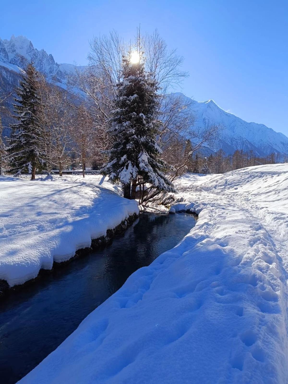 Appartement Chamonix Montblanc 1 A 4 Personnes Eksteriør billede
