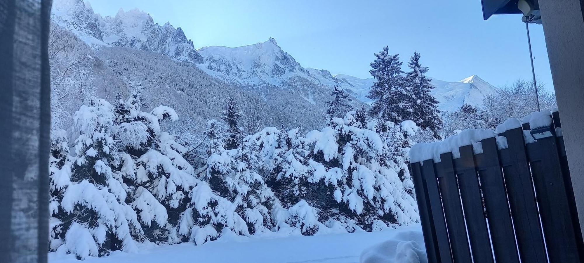 Appartement Chamonix Montblanc 1 A 4 Personnes Eksteriør billede