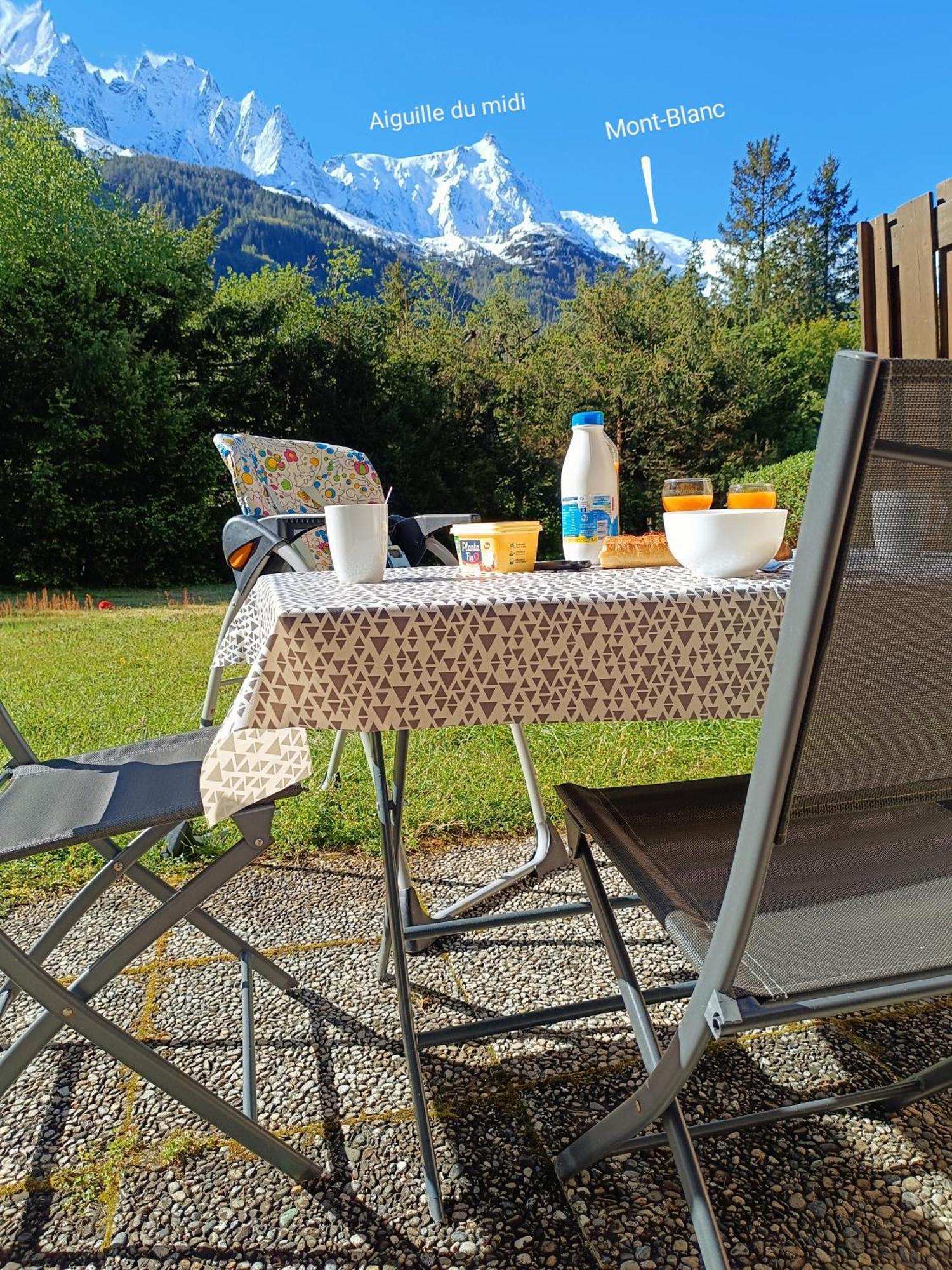 Appartement Chamonix Montblanc 1 A 4 Personnes Eksteriør billede